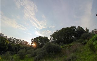 1746 m² Land available in Loevenstein