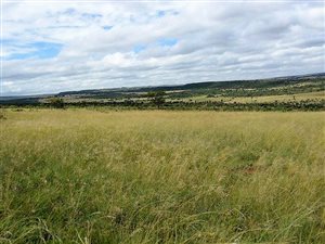 586 ha Farm in Middelburg Central