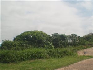 441 m² Land available in Princes Grant Golf Estate