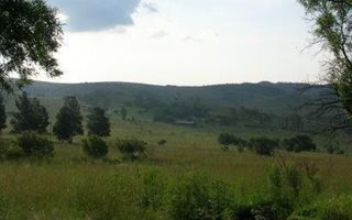 13 ha Farm in Vlakplaats