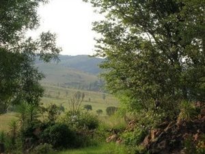 13 ha Farm in Vlakplaats