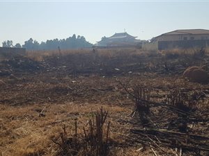 1000 m² Land available in Cultura Park