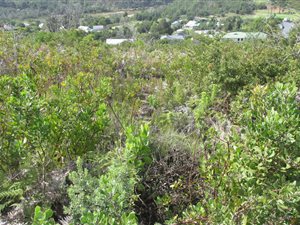 5481 m² Land available in Knysna Central