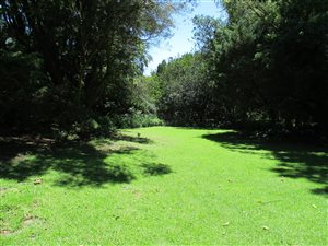 1021 m² Land available in Atholhurst