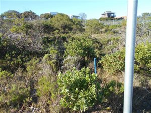 442 m² Land available in Moquini Coastal Estate