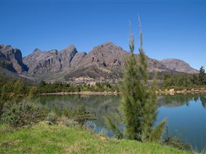 46 ha Farm in Paarl Central East