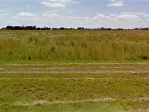 2.2 ha Farm in Nelsonia