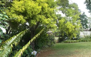 2 Bedroom Simplex in Lincoln Meade