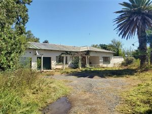 4.3 ha Farm in Olive Hill