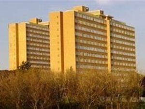 2 Bed Flat in Loevenstein