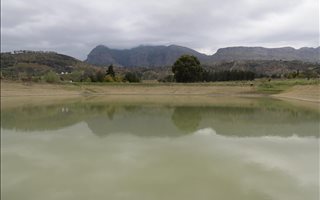 7 ha Farm in Paarl