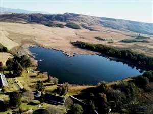 77 ha Farm in Estcourt