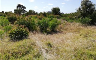 987 m² Land available in Franskraal