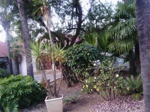 3 Bed House in Wingate Park