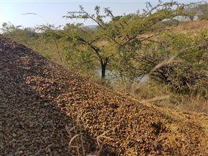 64.8 ha Farm in Empangeni