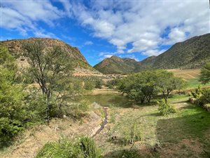 77 ha Farm in Calitzdorp