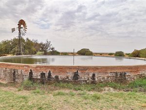 1375 ha Farm in Boshof