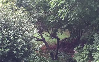 2 Bedroom Apartment in Illovo