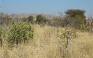 983 m² Land available in Seasons Lifestyle Estate