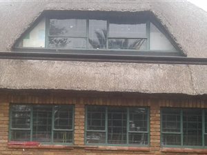 4 ha Farm in Delmas