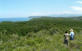 7.5 ha Farm in Knysna Central