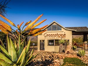 1.6 ha Land available in Barberton