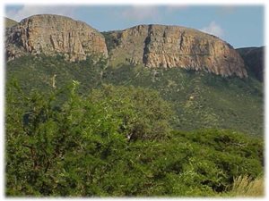 1.3 ha Land available in Boetrand