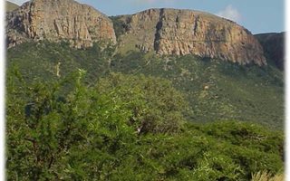 1.3 ha Land available in Boetrand
