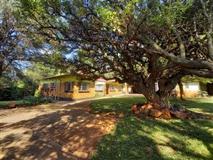 3 Bed House in Colbyn