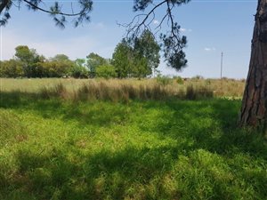 1123 m² Land available in Deneysville