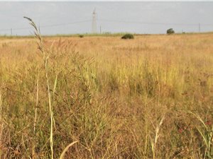 4 m² Land available in Mooiplaats AH