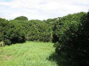 610 m² Land available in Vermont