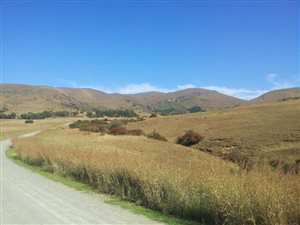 400 ha Farm in Kokstad