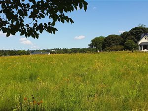 1361 m² Land available in Howick