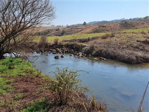 11.6 ha Farm in Dargle