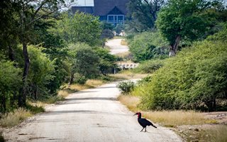 1 ha Land available in Moditlo Nature Reserve