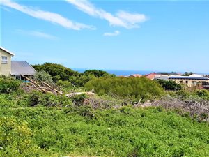 907 m² Land available in Beachview