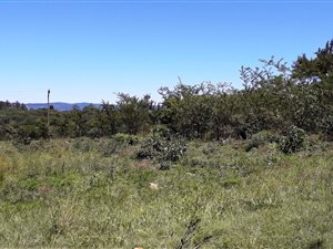 4047 m² Land available in Albert Falls