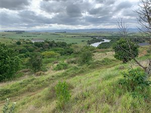 1578 m² Land available in Mtunzini