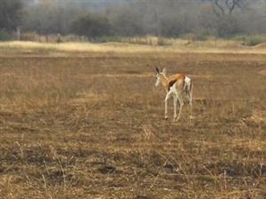 995 m² Land available in Boschkop