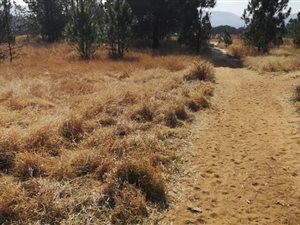 2.2 ha Farm in Pretoria Central