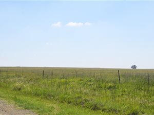 513 ha Land available in Winburg