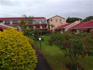 Studio apartment in Prestondale
