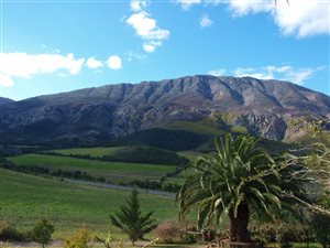 214 ha Farm in Bonnievale