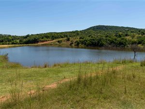2 ha Land available in Wild Fig Estate