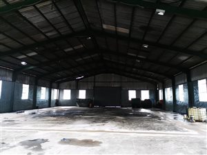 1000 m² Commercial space in Sea View