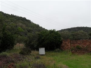 84 ha Farm in Alma