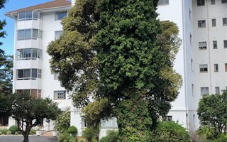 2 Bedroom Apartment in Rondebosch