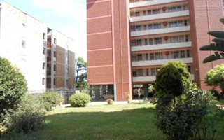 1 Bedroom Apartment in Arcadia