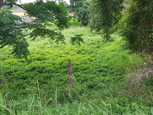 520 m² Land available in Chesterville